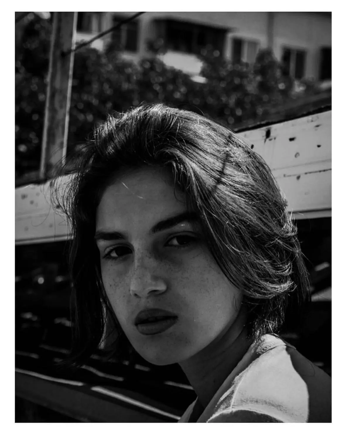 პორტრეტები